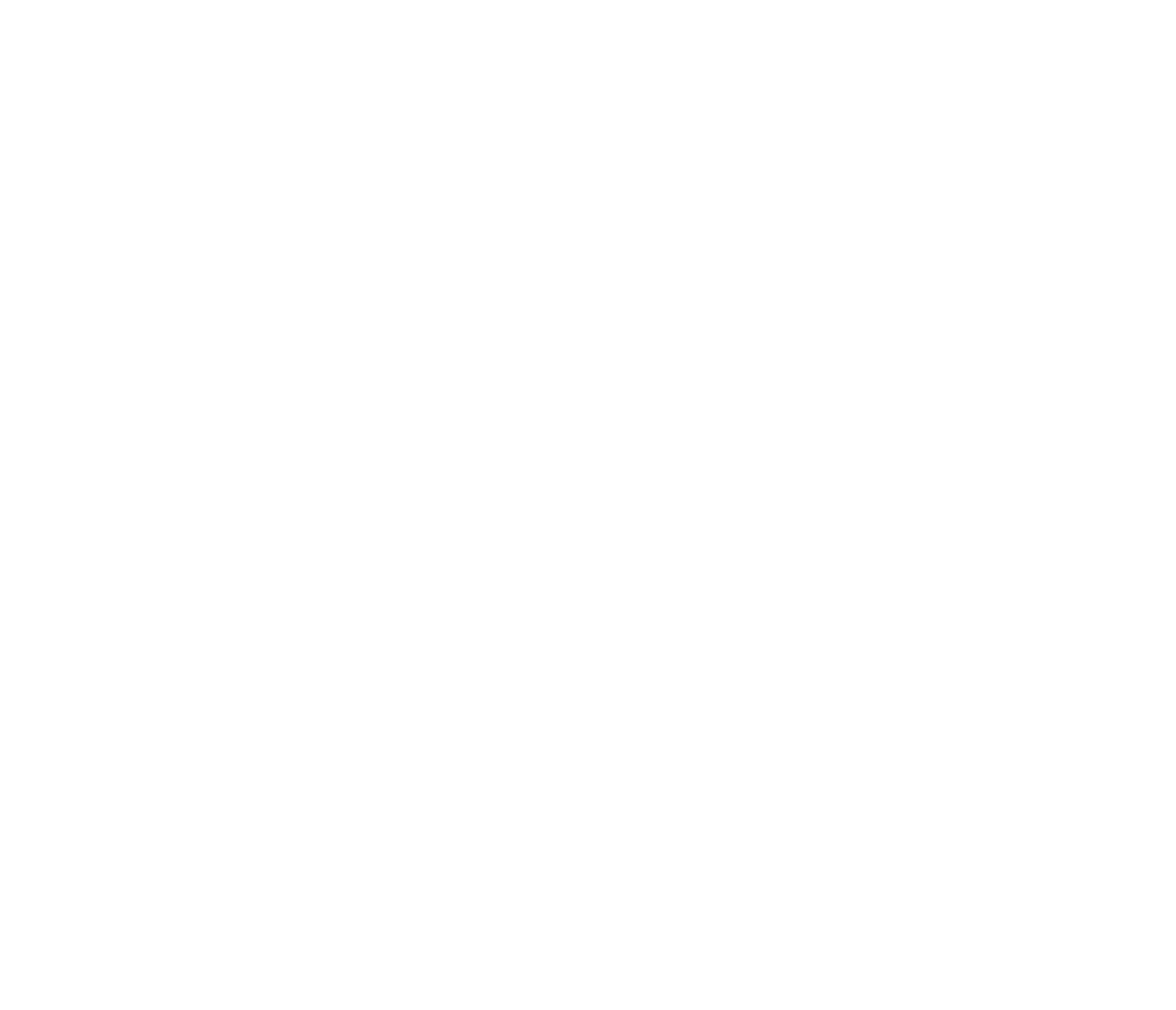Zenzon MMA Logo